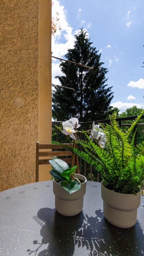 Lk43-Lodging City-Apartments, Kontaktlos Mit Self Check-In Грац Екстер'єр фото